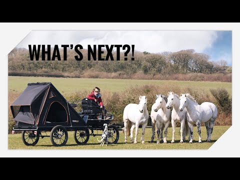 Built for Adventure! It is time for something new ⛺️🐴🐴🐴🐴