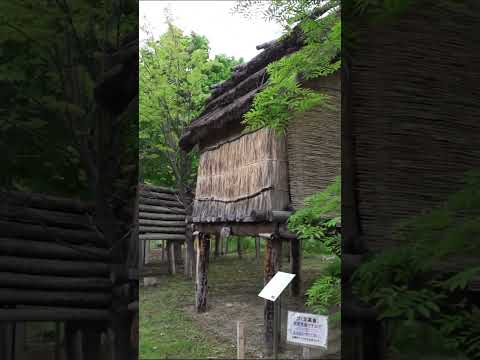 Sapporo Ainu Culture Promotion Center Short