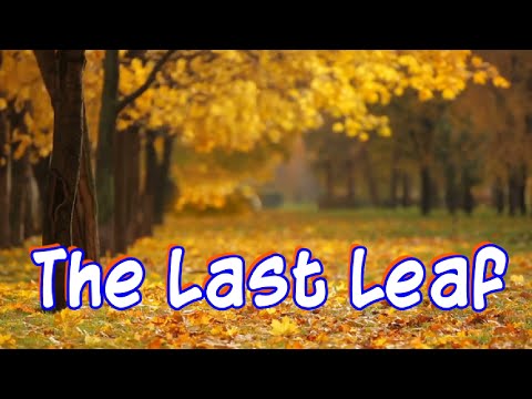 The Last Leaf (the Cascades Lyrics), This old song has stopped time and is still worth listening to.