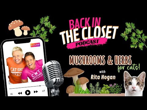 Shrooms & Herbs with Rita Hogan | Back In The Closet Podcast