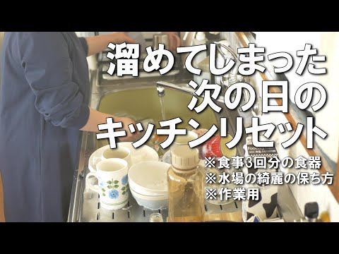 【キッチンリセット】たっぷりの食器達を一斉清掃！作業用