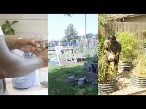 HOMEGROWN BASIL | SEED STARTING STATION | GLOG 003