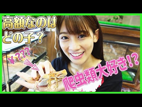 実は私、、、爬虫類大好きなんです！🐍ペットショップで高額ペット当てちゃいます！