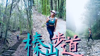 【榛山步道】這座山像冷氣房？😶‍🌫️涼霧水冷機？⛰️遠眺聖稜線！🌲森林美得像韓劇場景！