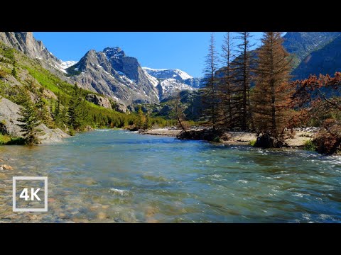 4K Gentle Mountain River in Montana Backcountry | Water Sounds White Noise | Sleep and Relaxation