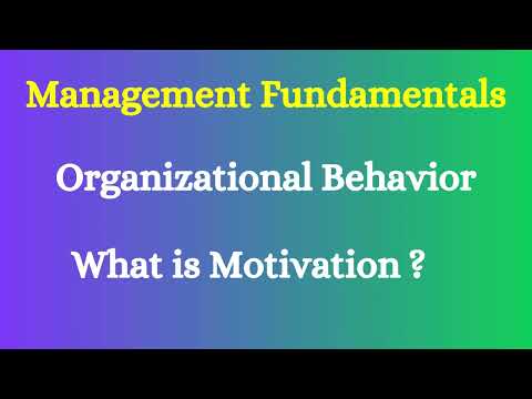 What is Motivation?|Elements of Motivation|Extrinsic & Intrinsic Motivation|Organizational Behavior