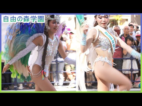 4K 学生 浅草サンバカーニバル 2024 S1-③ 自由の森学園 Asakusa Samba Japan