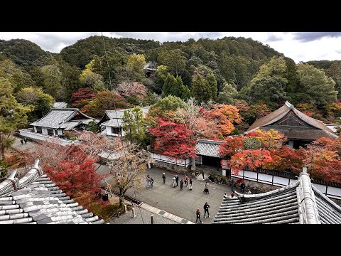 京都南禪寺的紅葉與櫻花 / Beauriful red leaves & cherry blossom in Nanzen-ji Temple,Kyoto on 3-28 & 11-18，2023