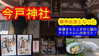 【御朱印巡り】今戸神社 幸運をもたらす猫、ナミちゃんに出会えた！