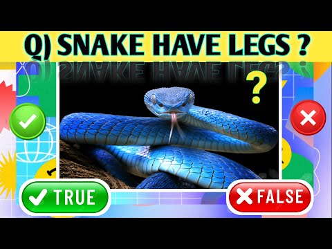 True false quiz question | animal knowledge trivia questions | true or false quiz | trivia question