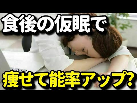 食後に仮眠すると痩せて脳が活性化する？食後の睡眠のメリットとは？ベストなタイミングと時間とは？健康雑学