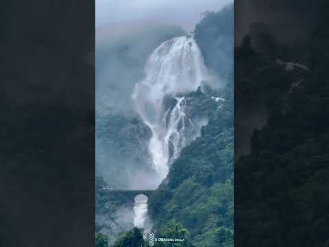 Beautiful waterfalls dudhsagar | #waterfalls #dudhsagarwaterfalls #reelsinstagram #reels