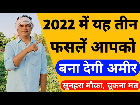 2022 में ये तीन फसलें आपको बना देगी अमीर।May me konsi kheti kare।June me konsi kheti Kare।july kheti