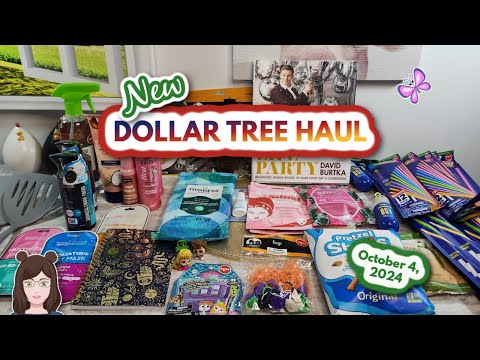 Awesome NEW DOLLAR TREE HAUL!  Excellent Finds!! October 4, 2024 #dollartreehaul