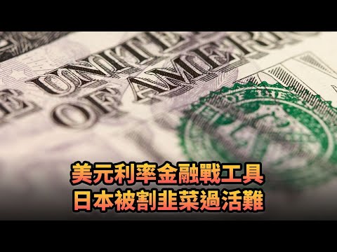 美元利率金融戰工具 日本被割韭菜過活難|414《平台一文》｜#美國 #日本 #日元 #美元 #美元指數