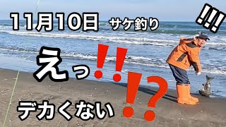 【北海道サケ釣り】開始そうそう！？何としてもプレミアムサーモン釣りたい!!!寒さに耐える釣り