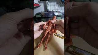 3d printed at home ,spider man , marvel , in 3d , creality cr 10 smart pro, 3d打印