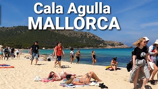 🇪🇦Cala Agulla🏖 Mallorca 🏝 SPAIN 🌍 Beach walk | April '23