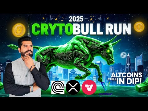 2025: A Once-in-Years Opportunity! Make the Most in the Crypto Bull Run! Altcoins Still in Dip!