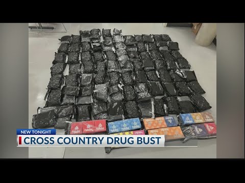 Over 150 pounds of drugs seized, arrests made in Bulloch County: Sheriff's Office says