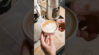 DREO BaristaMaker: Perfect Latte Art Milk While You Brew Your Espresso!