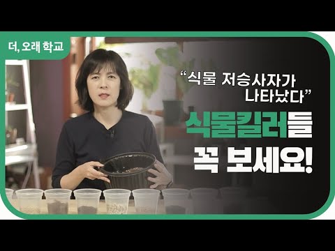 식물 킬러라면 꼭 보세요!! l 더오래 학교 김정아 1부