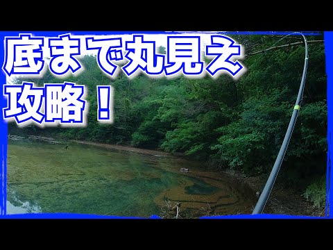 デカバス多数！大雨後のクリアウォーター攻略！