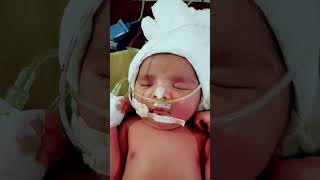 #newbornbaby #cute #baby #babysleep #babycutemoment #hart #lovely #babysleepingsongs #shorts #baby