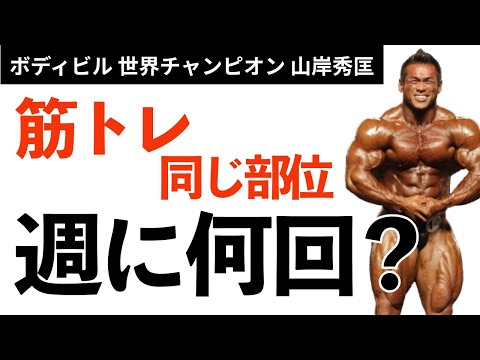 【筋トレ】同じ部位のトレーニングは週に何回？世界チャンプが解答！【山岸秀匡】