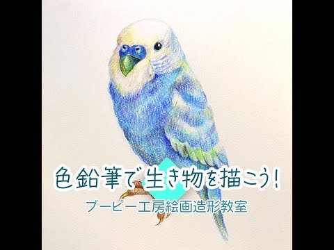 色鉛筆で生き物を描こう！ブーピー工房絵画造形教室