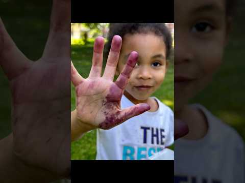 Mulberries harvest with the kiddos #fruitforest #urbanfarm #fun #shortsvideo #shorts #mulberries