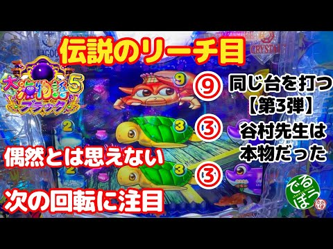 【新企画】同じ台を打つ【3回目】4月5日　パチンコ実践　P大海物語5ブラック　これは偶然？　伝説のリーチ目はやはり本物だった　ありがとう谷村先生