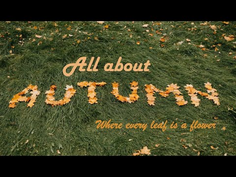 Best season to go for a walk | All about Autumn | autumn weather I Colours of fall