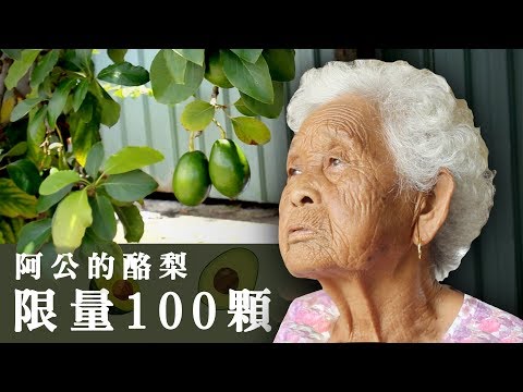 阿公的酪梨，限量100顆