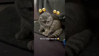 Today my mom told me... #viralvideo #cat#Shorts #fyp #trending #catshorts #cat #funny #cute