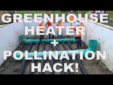 Climate Battery Greenhouse Results + How To Increase Pollination In Your Hot House