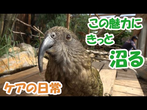 【沼る】ケアの日常