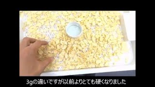 乾燥にんにくの作り方｜食品乾燥機ドラミニ