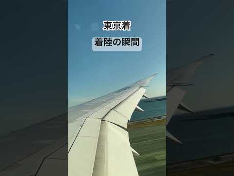 着陸#sports #飛行機