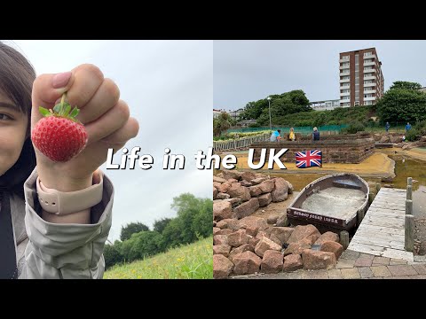 Life in Liverpool | Search for free TOPIK books online | Strawberry farm 🍓 & Mini golf in Prescot ⛳️