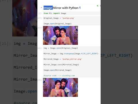 Image Mirroring with Python