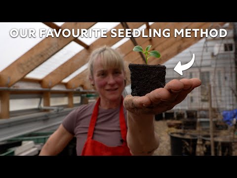 We’re starting our Seedlings! | The Avis Farm