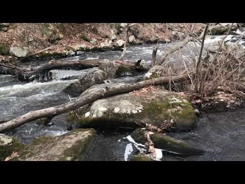 German Shepherd Hiking at a mill powered by black river. This mill grinds grains to flour ep161