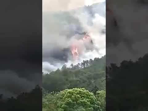 China eastern airline crash with 132 onboard passengers in mountain of Guangxi province