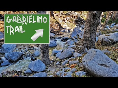 Gabrielino Trail Stream Peaceful Forest Ambience