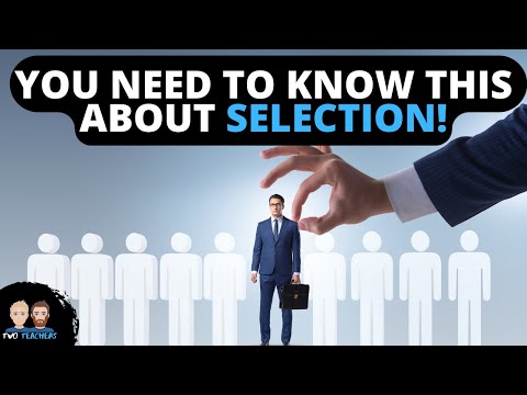 What is Selection in Business?