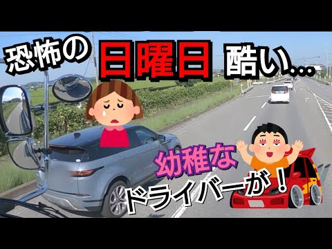 【恐怖の日曜日】現れたな！サンドラと幼稚な運転で呆れる休日運行。