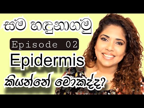 ALL ABOUT EPIDERMIS | YouTube Beauty & Hair Course | FREE | SINHALA