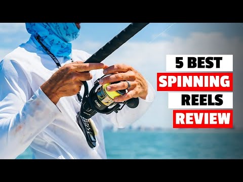 5 Best Spinning Fishing Reels of 2024 | KastKing & PENN Reels Review