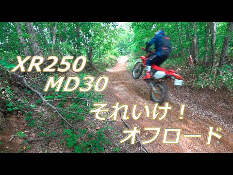 XR250　MD30  それいけ！オフロード